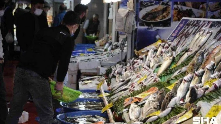 Balık tezgahlarında lüfer bolluğu devam ediyor