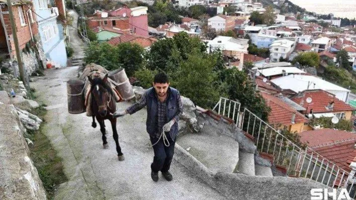 Belediye atla malzeme taşıyıp yol yapıyor