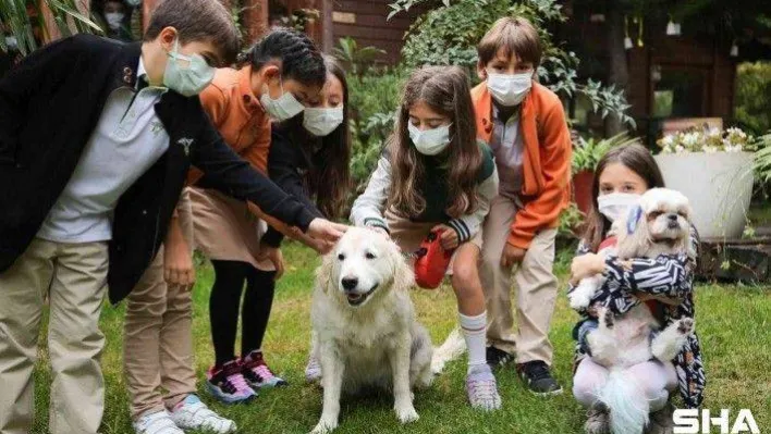Doğa'nın hayvansever öğrencileri sevimli dostları için iş başında