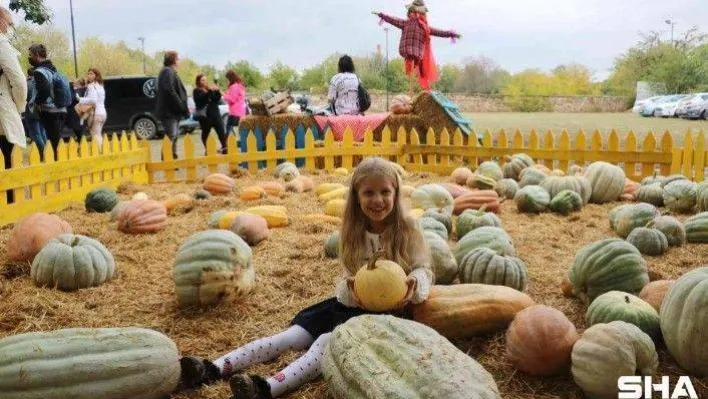Edirne'de 'Karaağaç Kabak Festivali' renkli görüntülere sahne oldu