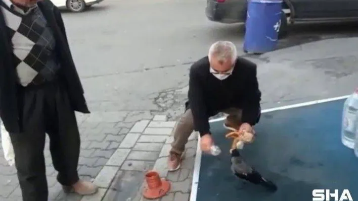 Esenyurt'ta vatandaş ile karganın dostluğu tebessüm ettirdi