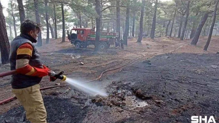 Kazdağları'nda 7 hektar ormanlık alan yangında zarar gördü