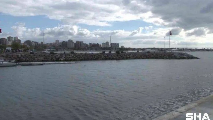 Kurbağalıdere'de su samuru çıktı, vatandaş şaşkına döndü