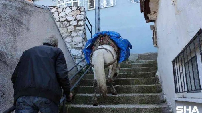 (Özel) Araçların girmediği mahalleye atıyla yük servisi yapıyor