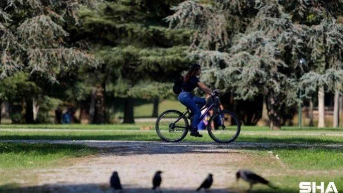 (Özel) Botanik Park'ta sonbaharla birlikte renkli görüntüler