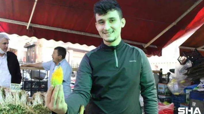 (Özel) Yaraları iyileştiren böyle 'kudret'li ilaç yok