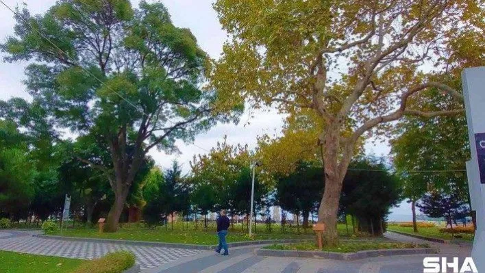 Tekirdağ'da iki devlet gören tabiatın sessiz tanıkları