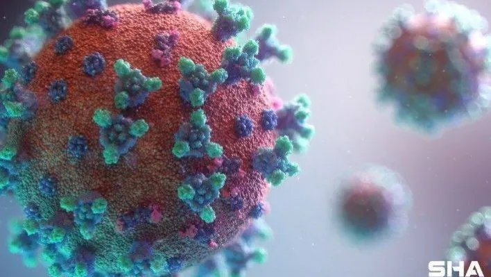 Türkiye'nin son 24 saatlik korona virüs tablosunu açıklandı