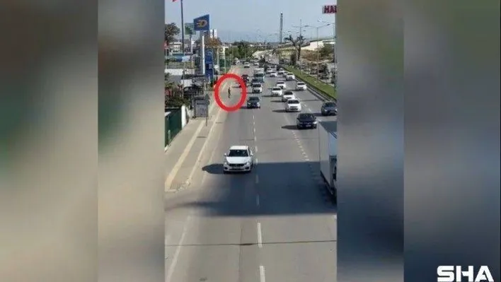 Vızır vızır geçen araçların arasında canını hiçe saydı