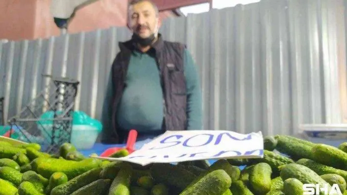 Antioksidan kaynağı son kornişonlar kapışılıyor