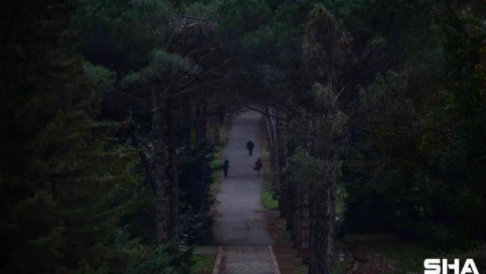 Atatürk Arboretumu'nda renk cümbüşü