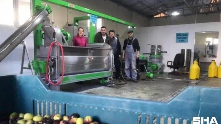 Balıkesir Üniversitesi'nde 2021-2022 sezonu zeytinyağı ve zeytin ürünlerinin üretimine başlandı