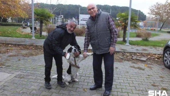 Balıkesir'de İstiklal Marşı okunurken eşlik eden köpek ilgi odağı oldu