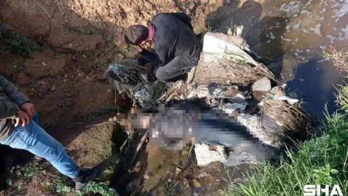 Bir haftadır kayıp olan yaşlı adamın dere kenarında cansız bedeni bulundu