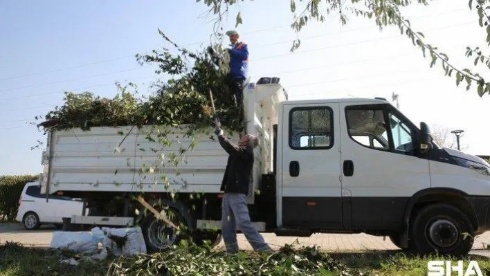 Bursa'da budama atıkları kompost gübre oluyor