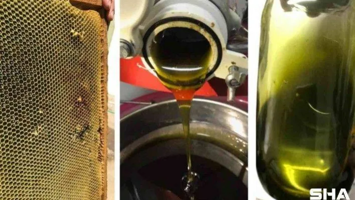 BUÜ'lü akademisyenler tamamen doğal arı yemi ve fonksiyonel bal üretti