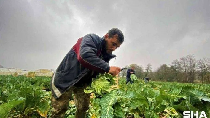 Dairelerini satıp bütün paralarını tarıma yatırdılar