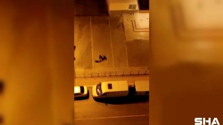 Esenyurt'ta şiddet gören köpek koruma altına alındı