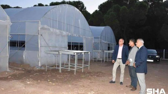 Gemlik Belediyesinden uygun fiyatlı sebze ve meyve