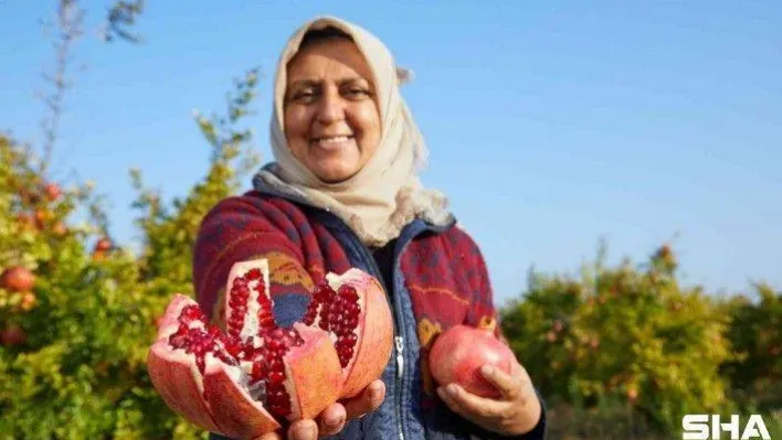Halka arzlar artıyor, bir şirket daha borsada işlem görecek