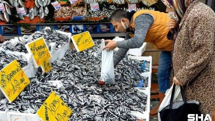 Hamsinin kilosu 10 TL'ye düştü, vatandaşlar kilolarca aldı