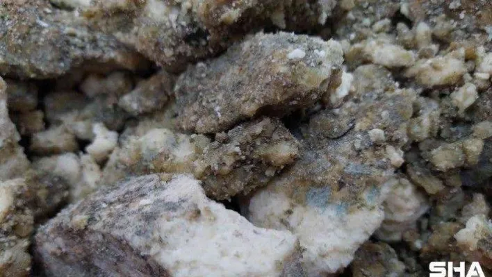 İşte Muhteşem Süleyman'ın ordusuna yedirdiği penisilin gibi peynir