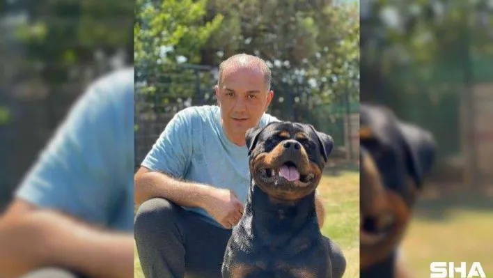 Köpek eğitiminin merkezi: Hause of Istanbul