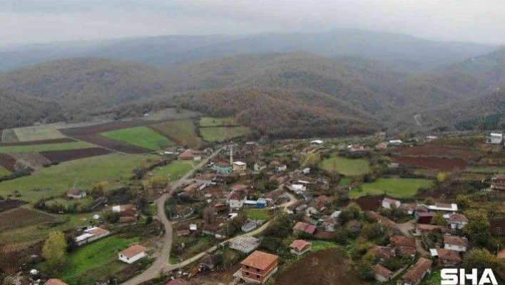 Kurtlar köye dadandı köylü korku içinde