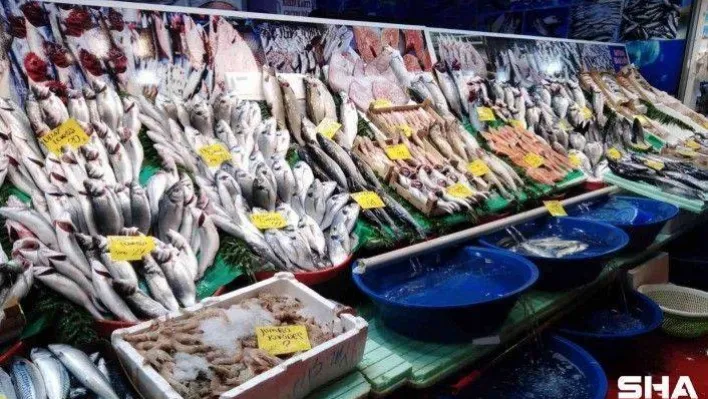 Lüfer azaldı, hamsi ve çinekop bollaştı