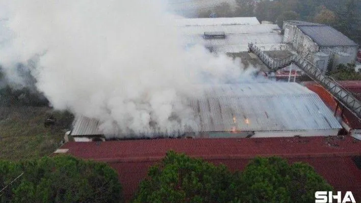 Maltepe'de 500 metrekarelik kağıt deposu alev alev yandı