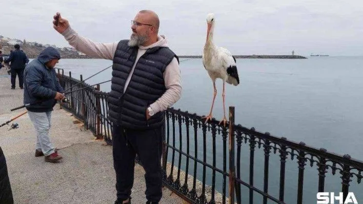 O leylek meşhur oldu, gören cep telefonuna sarılıyor