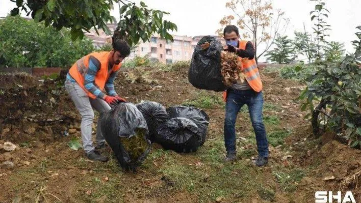 (ÖZEL) Yaprak ve çim atıklarından organik gübreye dönüştürüyorlar