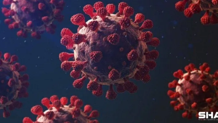 Sağlık Bakanlığı, Türkiye'nin son 24 saatlik korona virüs tablosunu açıkladı