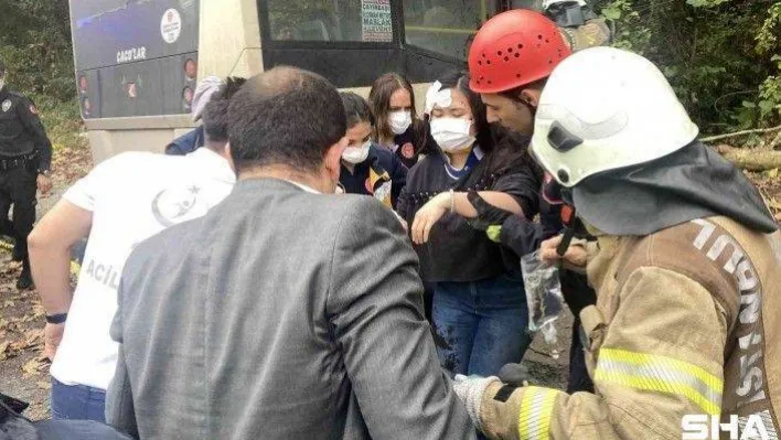 Sarıyer'de minibüs ağaca çarptı, çok sayıda yolcu yaralandı