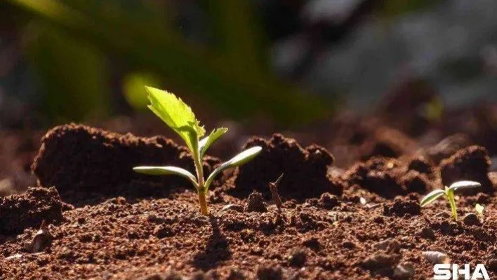 Toprak bozulumuna yol açan erozyona dikkat çekilecek