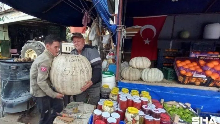 52 kiloluk dev kabak görenleri şaşırtıyor
