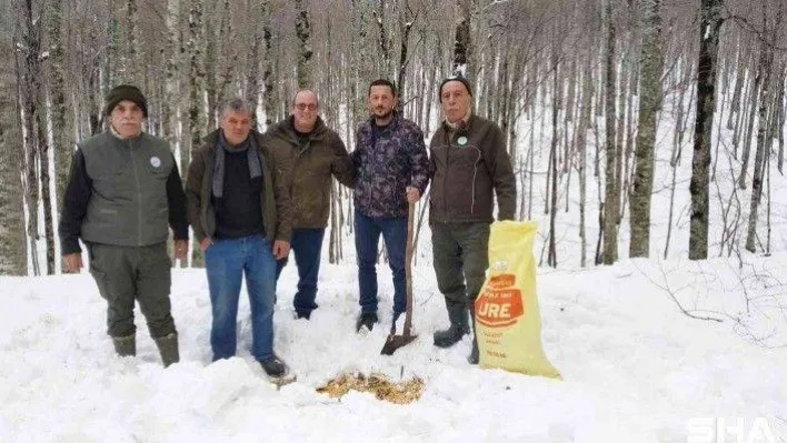 Avcılar yabanî hayvanlar için ormana yem bıraktı