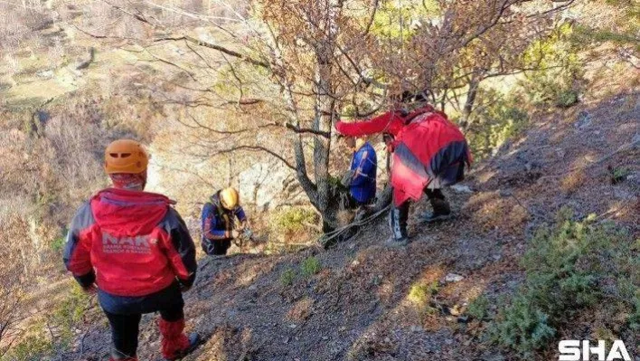 Bursa'da kayalıklarda mahsur kalıp ölümü bekleyen köpeği ekipler kurtardı