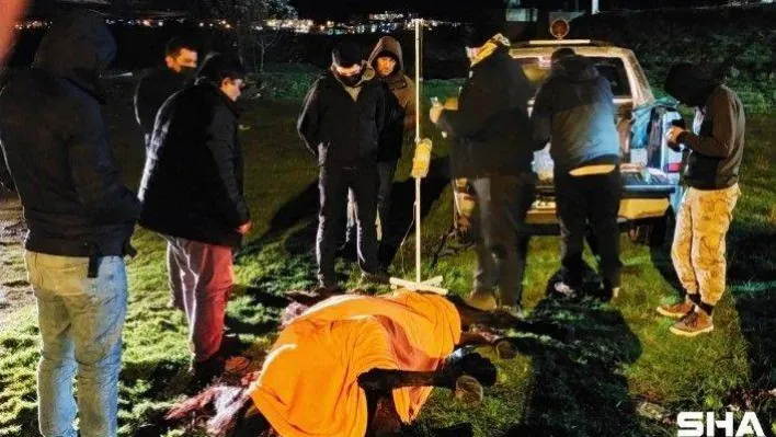 Can çekişen atı ölüme terk etmeyip 'insanlık ölmemiş' dedirttiler