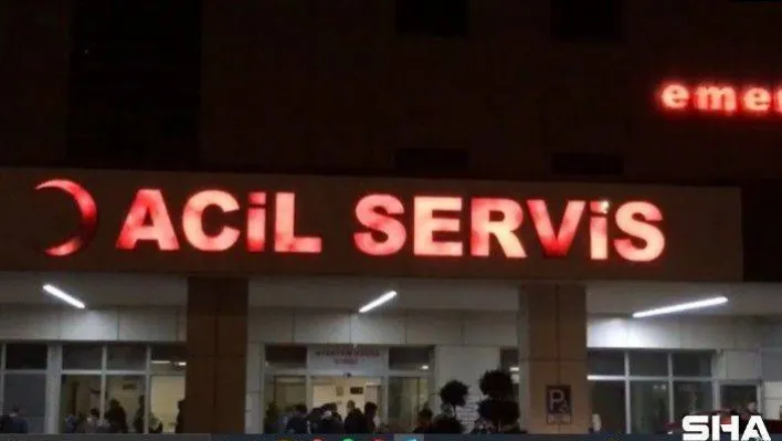 Canı elma çekti, toplamak için çıktığı ağaçtan düşerek bacağını kırdı