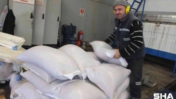 Çevre dostu yakıt zeytin çekirdeği yok satıyor