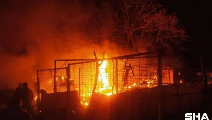 Çiftlik alev alev yandı, 160 küçükbaş hayvan son anda kurtarıldı