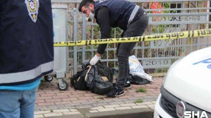 Çöp konteynerinin yanında poşetlenmiş halde telef olmuş hayvanlar bulundu