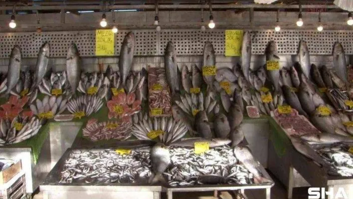 Denizlerde kofana bolluğu: Fiyatı 250 TL'den 90'a düştü