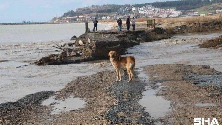 Edirne felaketi yaşıyor, sel sularına dayanamayan köprü yıkıldı