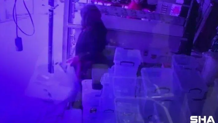 Esenyurt'ta terlik ve kova çalan kadın kameralara yansıdı