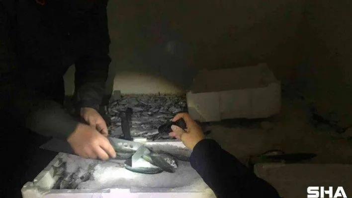 Gürpınar Su ürünleri Hali'nde 2 buçuk ton balığa el konuldu