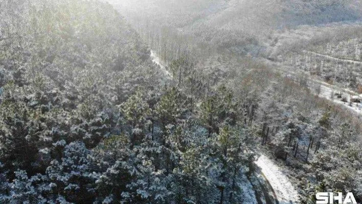 Kar sonrası, Kemerburgaz Ormanları'nda masalsı görüntüler