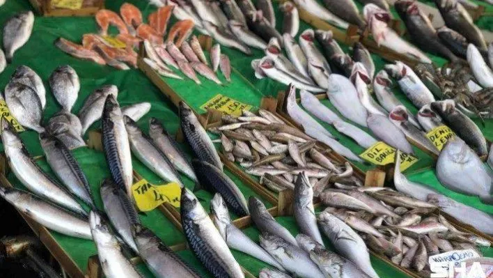 Kar yağdı, balık fiyatlarının düşmesi bekleniyor