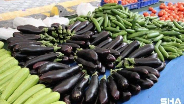 Kasım ayında en fazla patlıcan fiyatları arttı